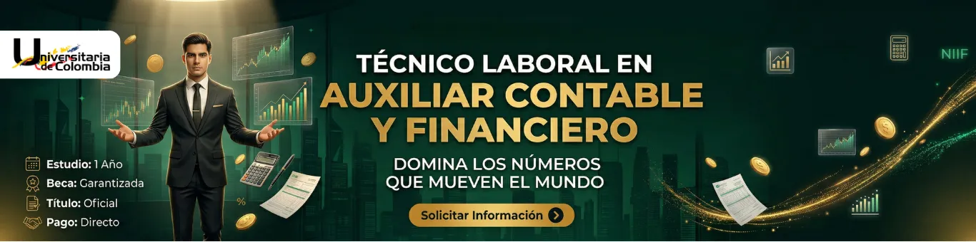 Auxiliar Contable y Financiero