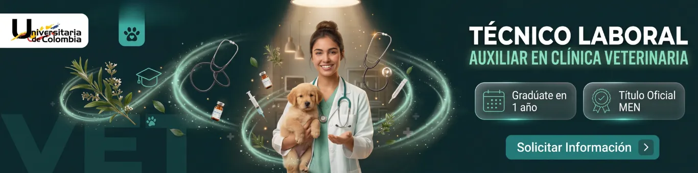 Auxiliar Clínica Veterinaria